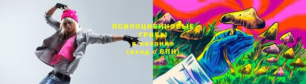 экстази Козельск
