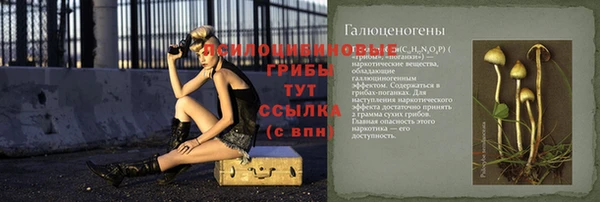 винт Козловка