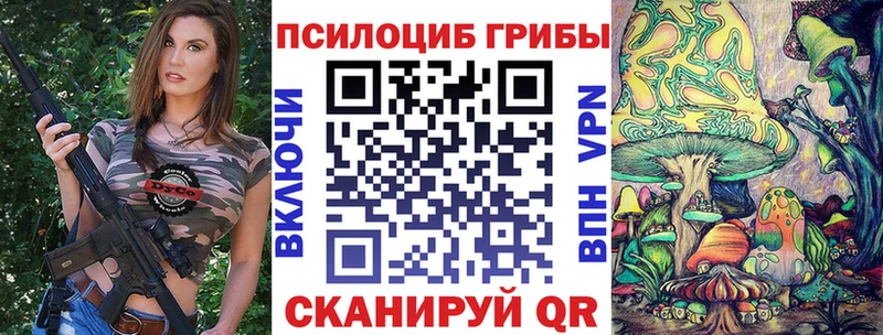 Галлюциногенные грибы Magic Shrooms Купить Бабаево